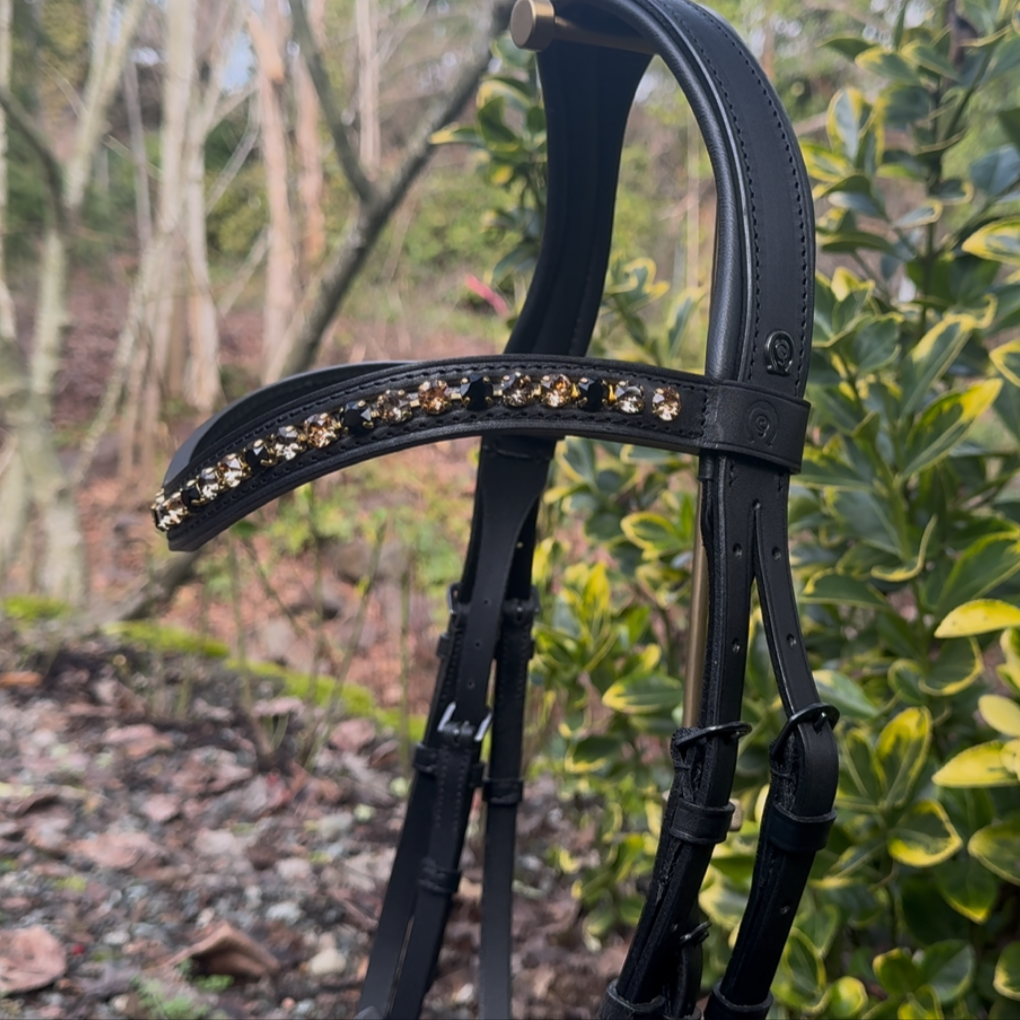 Otto Schumacher Elegant Snaffle Bridle with Patent Leo Caveson