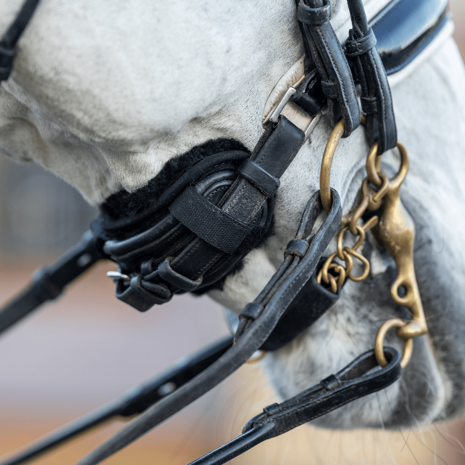 LeMieux Chin Guard - Black