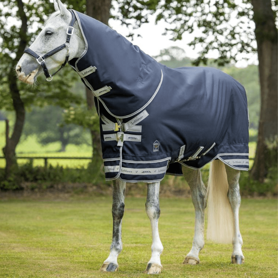 Arika Featherweight Turnout