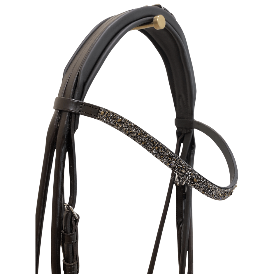 Curved dorado browband with medley rocks