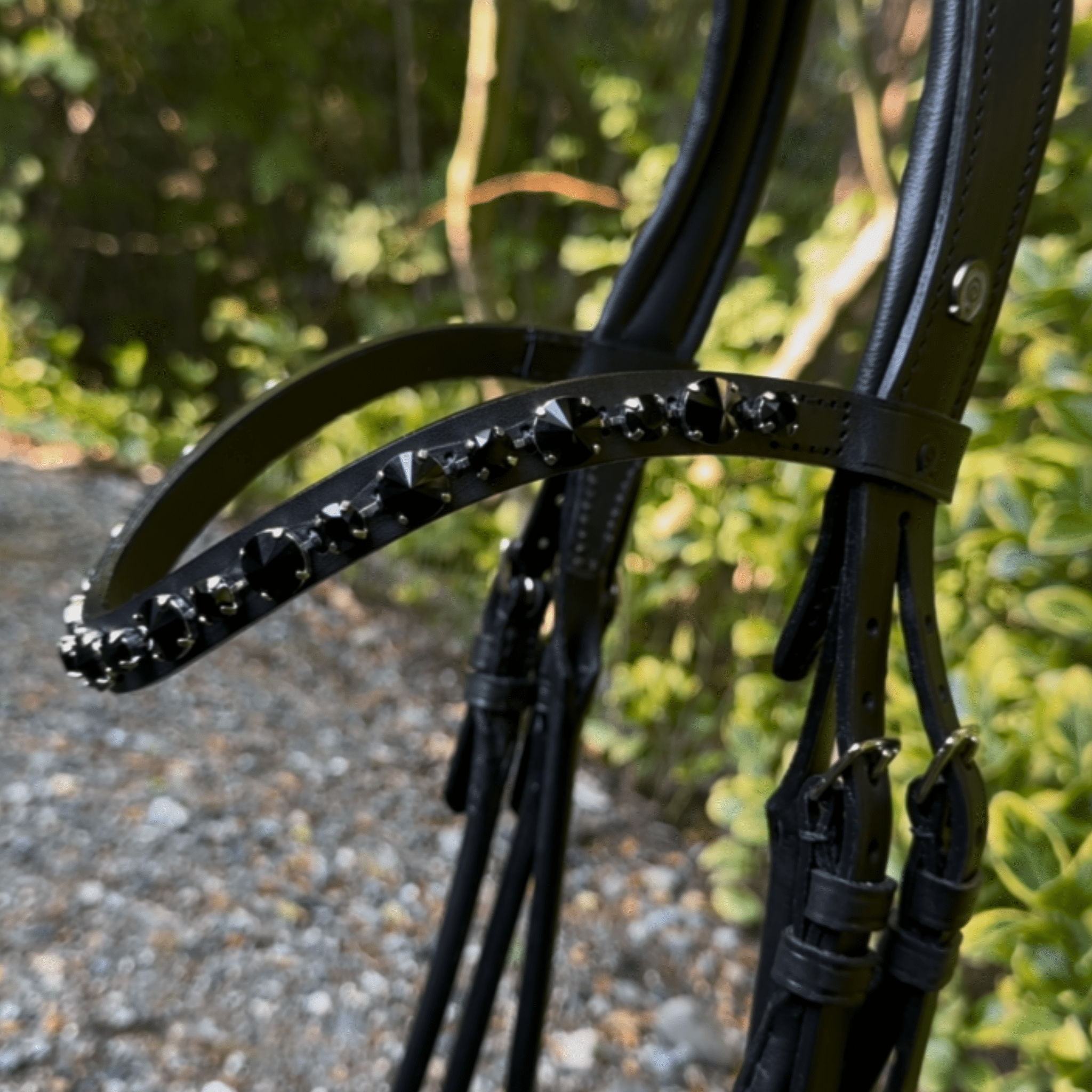 Otto Schumacher Bellevue Elegant Rolled Snaffle with Halo Browband