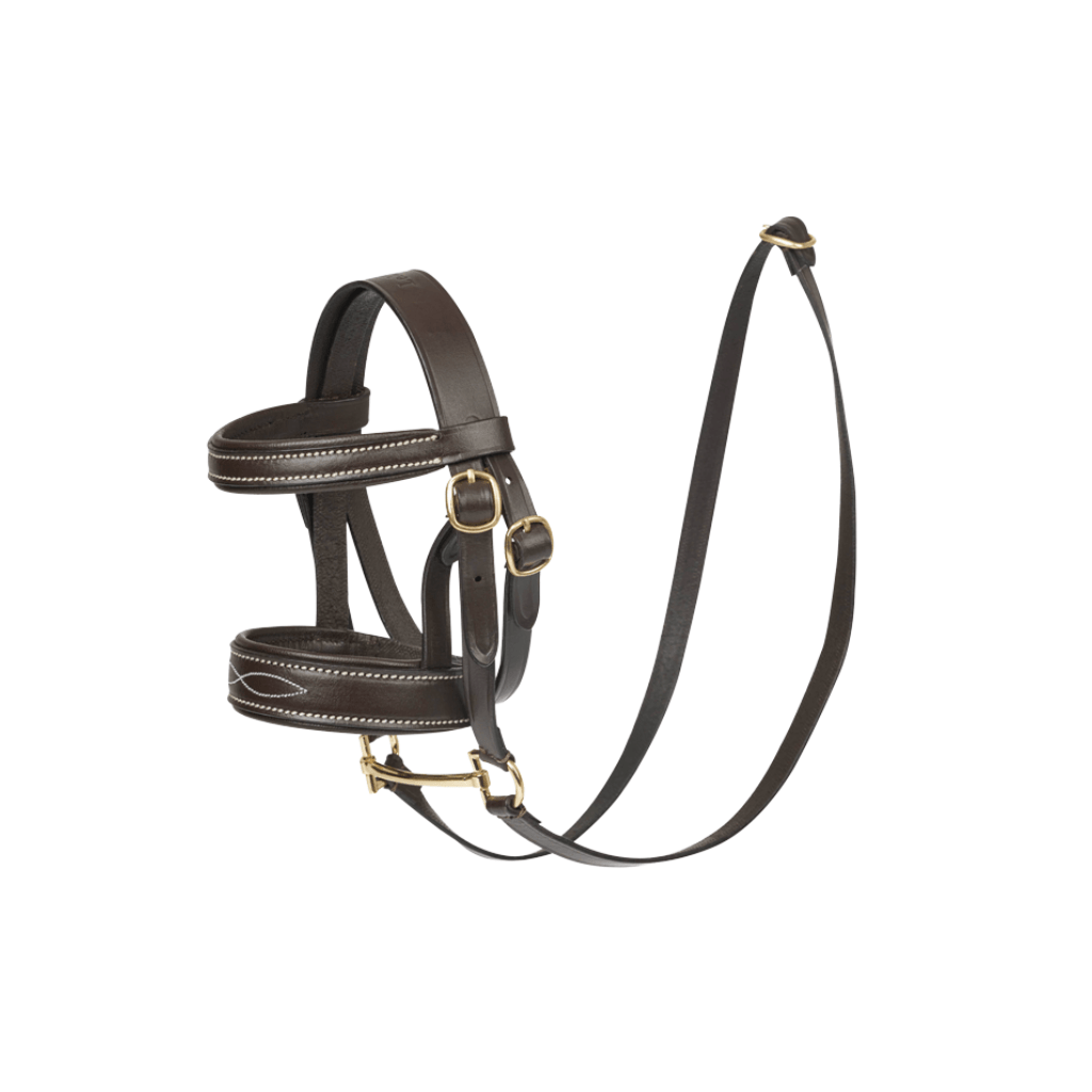 LeMieux Mini Pony Bridle - Havana