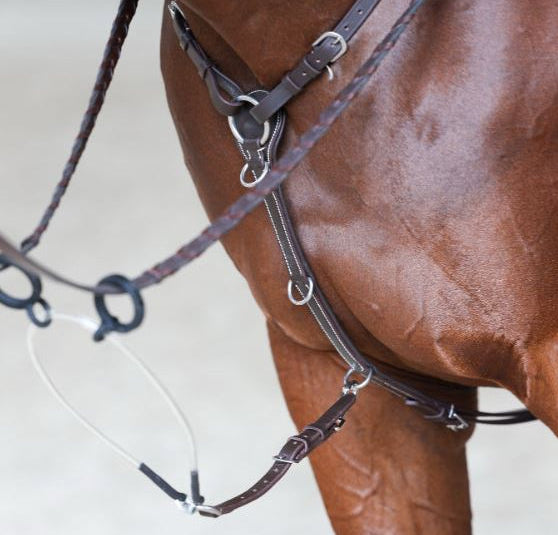 Close-up of a horse wearing equestrian tack, with overlaid text and arrows pointing to labeled areas including tear drop rein loops, single elastic loop, luxurious leather martingale, and loop connection on a beige background.