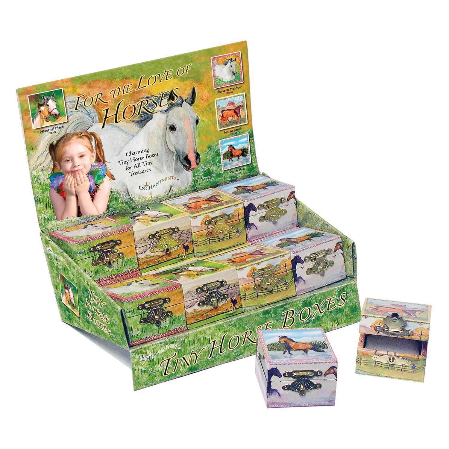 Tiny Treasure Boxes - For the Love of Horses Display Pack