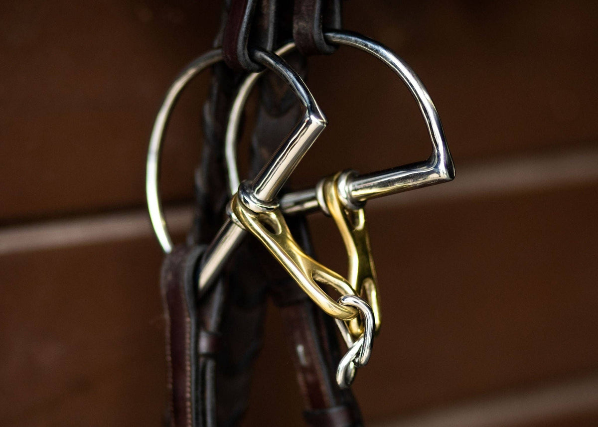 ProSeries Derby D-Ring Bit