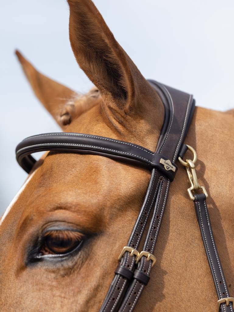 Lemieux Work Bridle - Brown