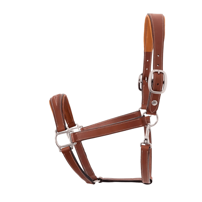 Butet Halter