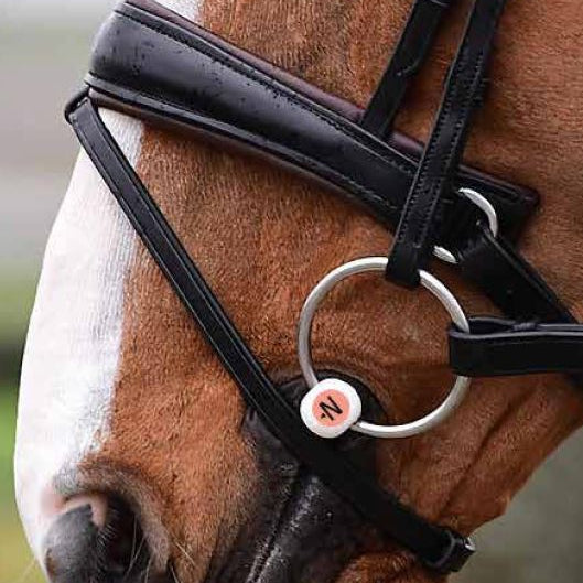 Herm Sprenger Nathe - Double Jointed Loose Ring Bit