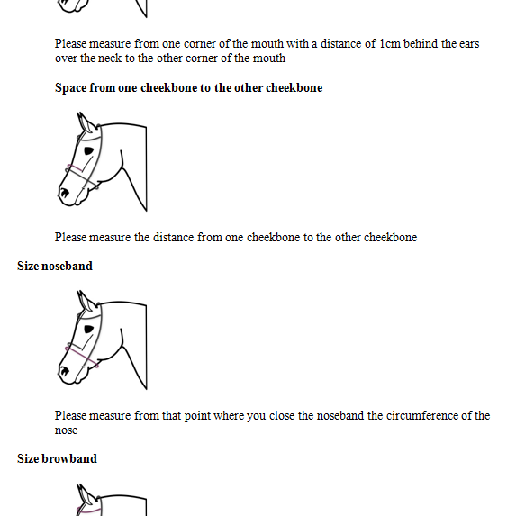 Measuring Guide
