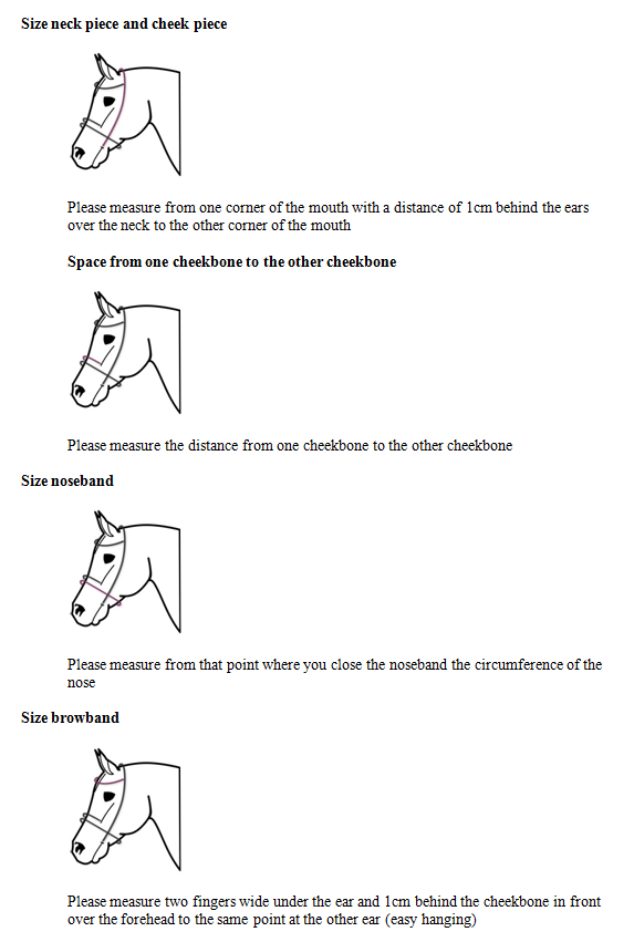 otto measuring guide