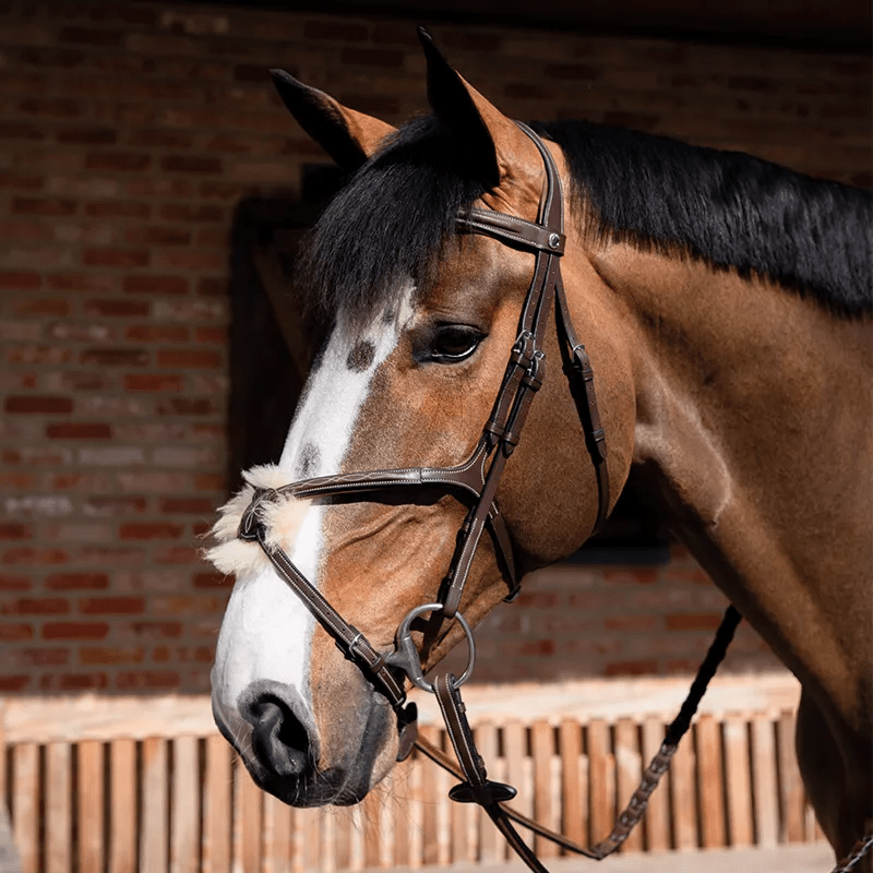 Butet Figure 8 Bridle