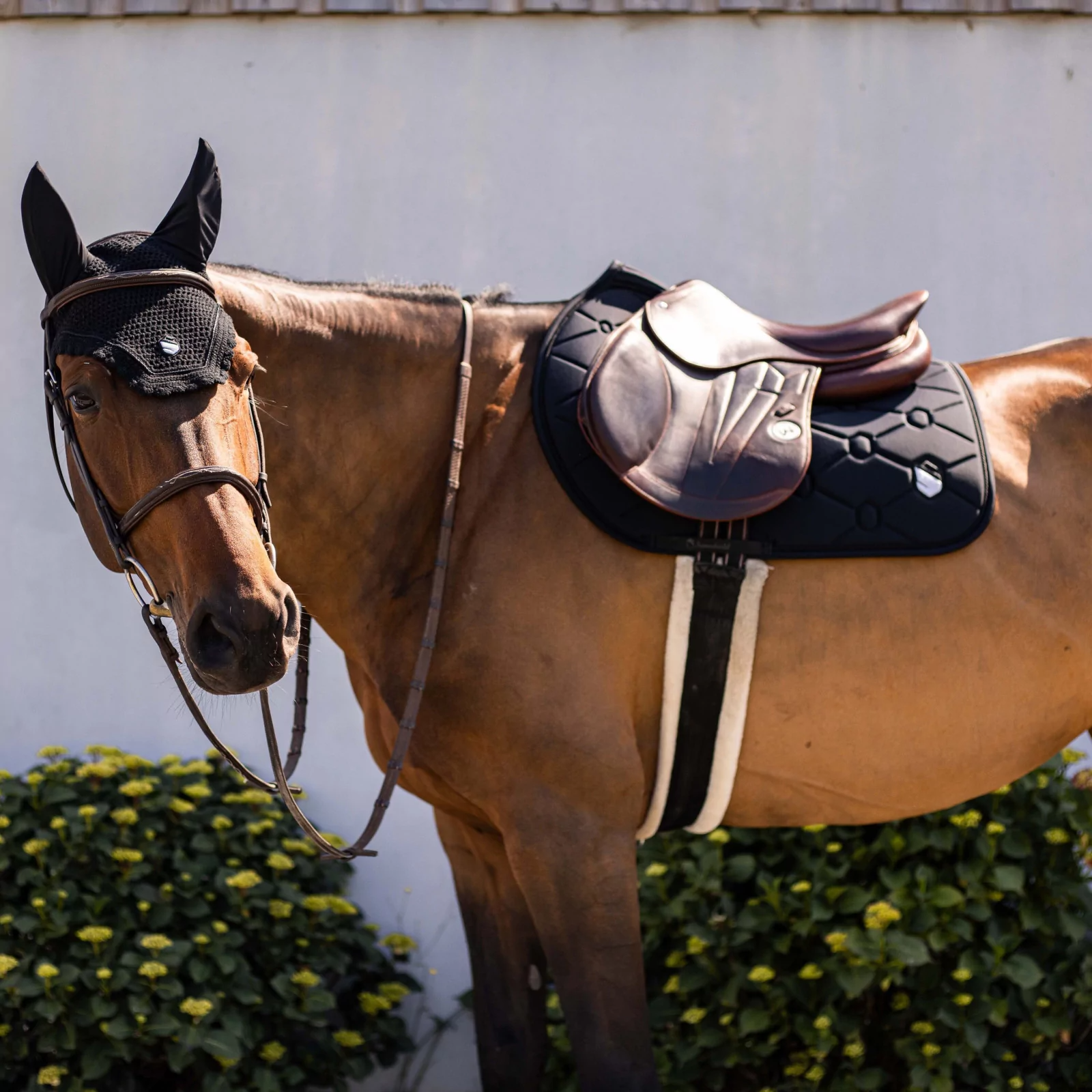 Samshield FlyShield Embroidered Fly Veil