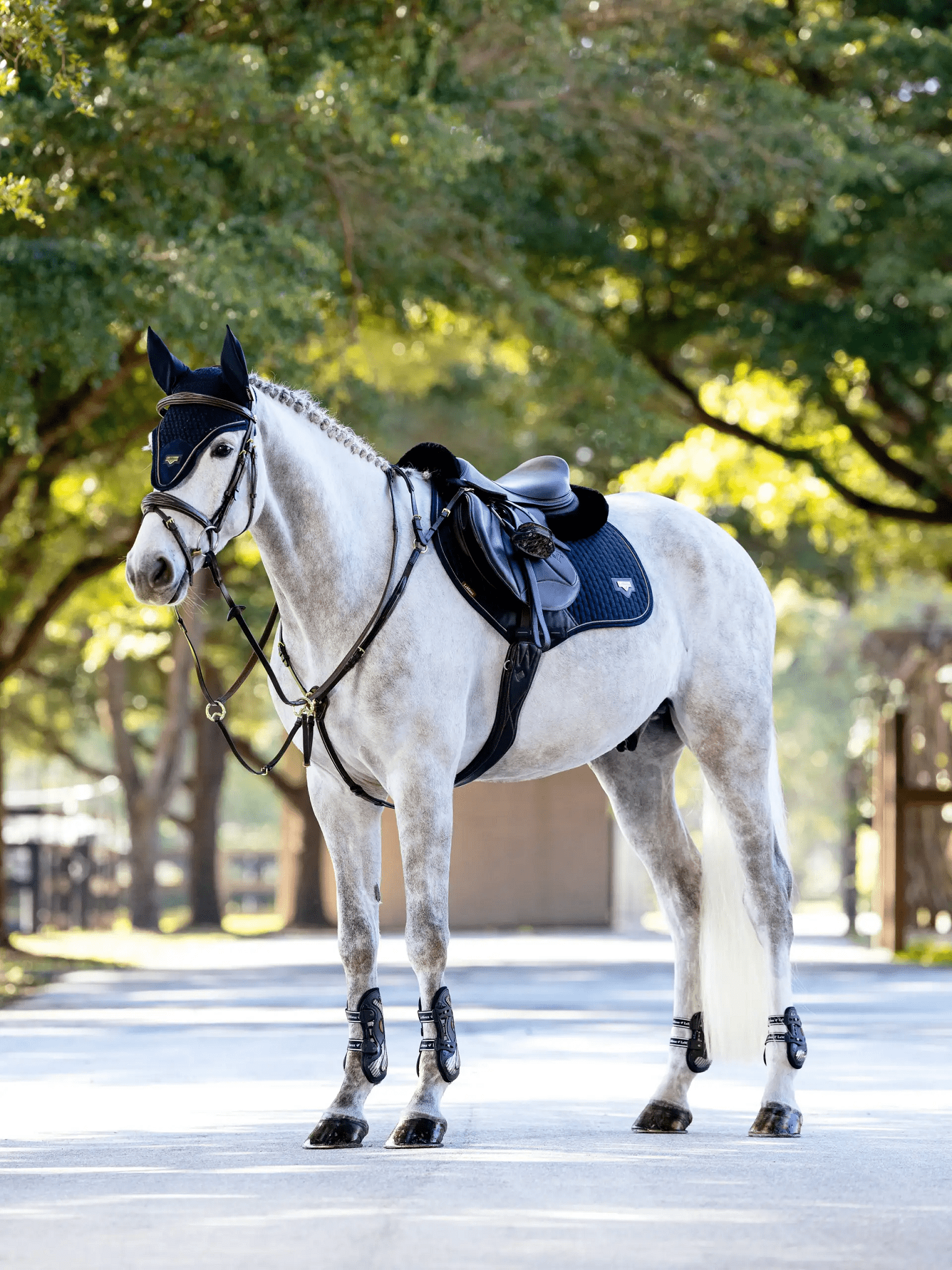 Puissance Suede Close Contact Saddle Pad