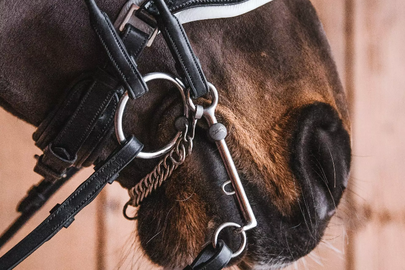 mary loose ring bradoon double bridle