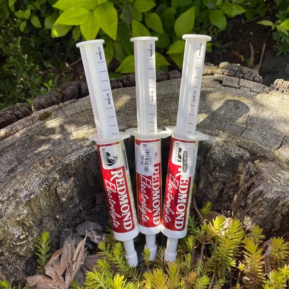 redmond electrolyte paste mint flavor