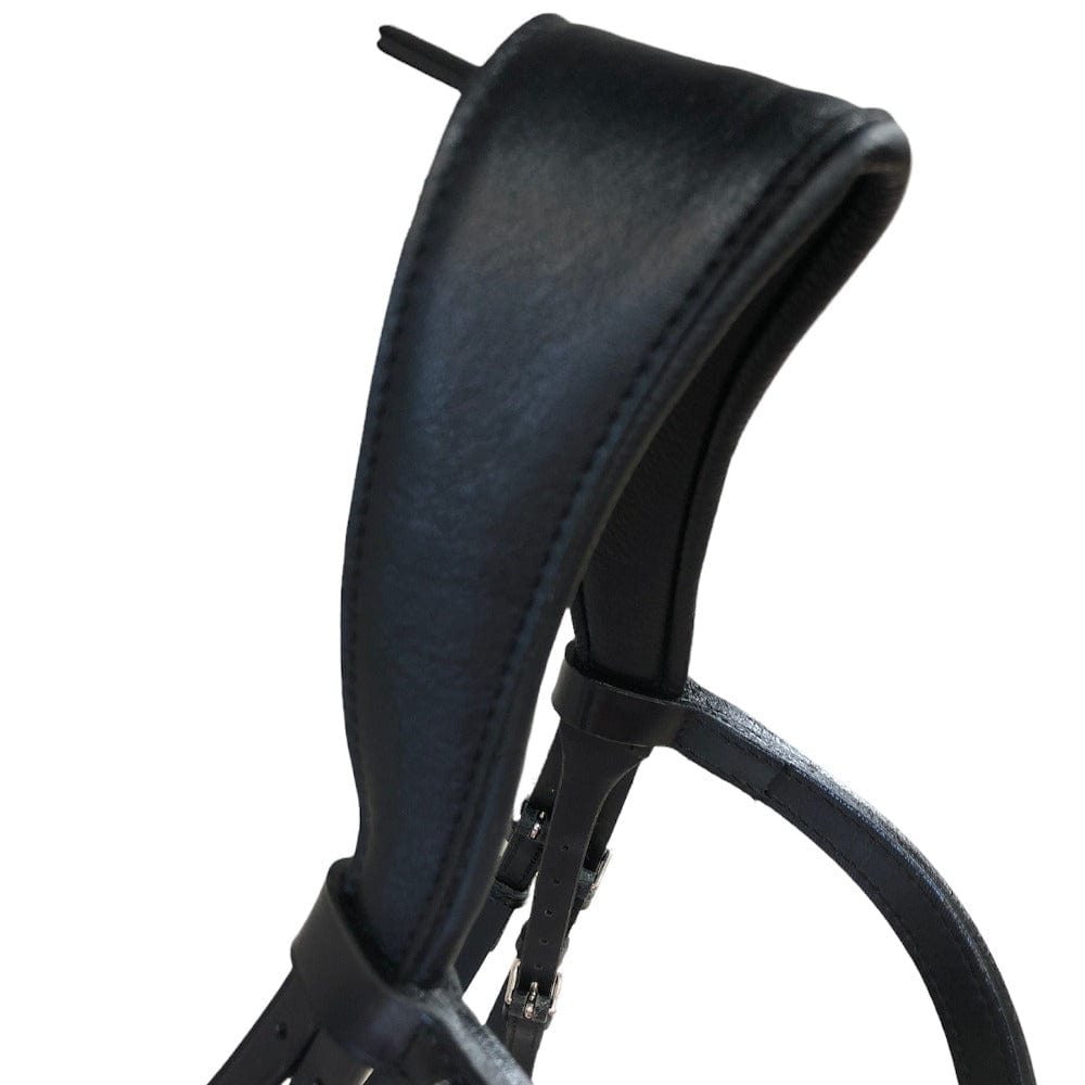 Otto Schumacher Tokyo Snaffle Bridle with Black Patent and Blue Fineline - Horse