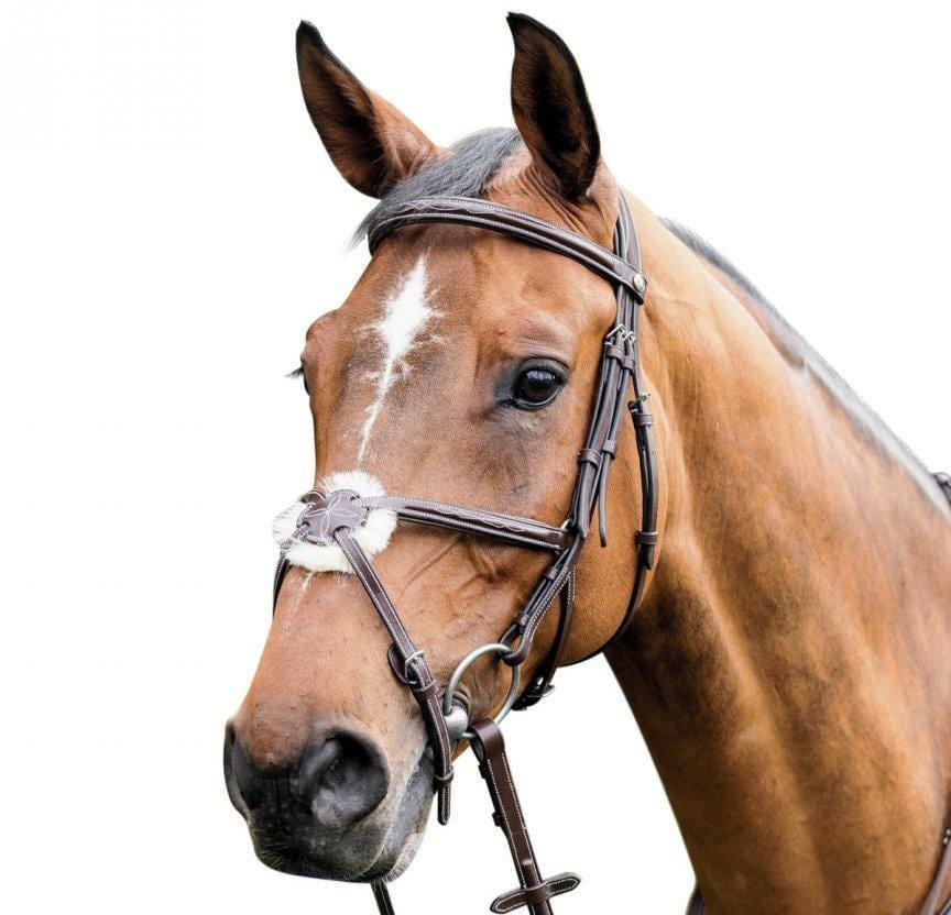 prestige figure 8 bridle tobacco