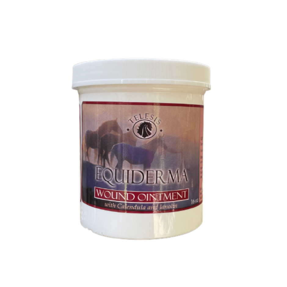equiderma wound ointment