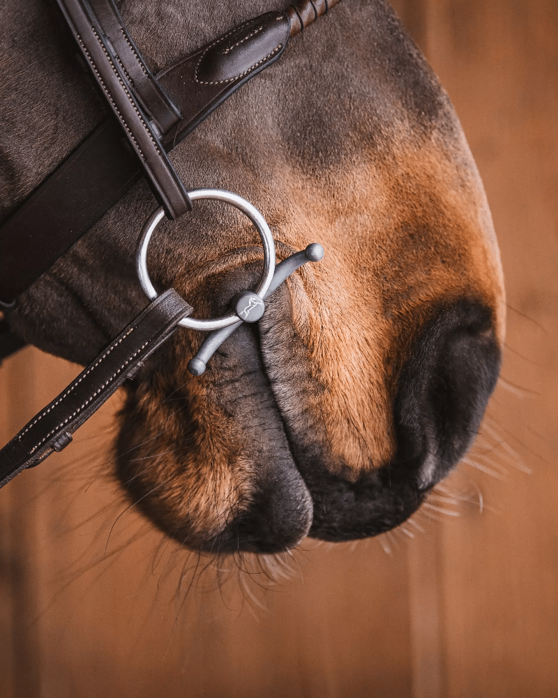 fager baby fulmer sidepiece in mouth