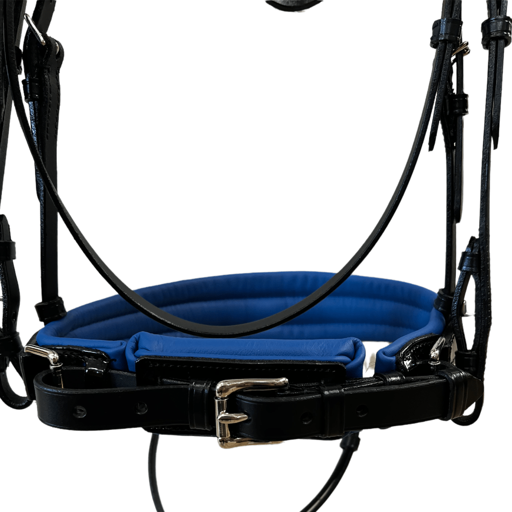 Otto Schumacher Tokyo Snaffle Bridle with Black Patent and Blue Fineline