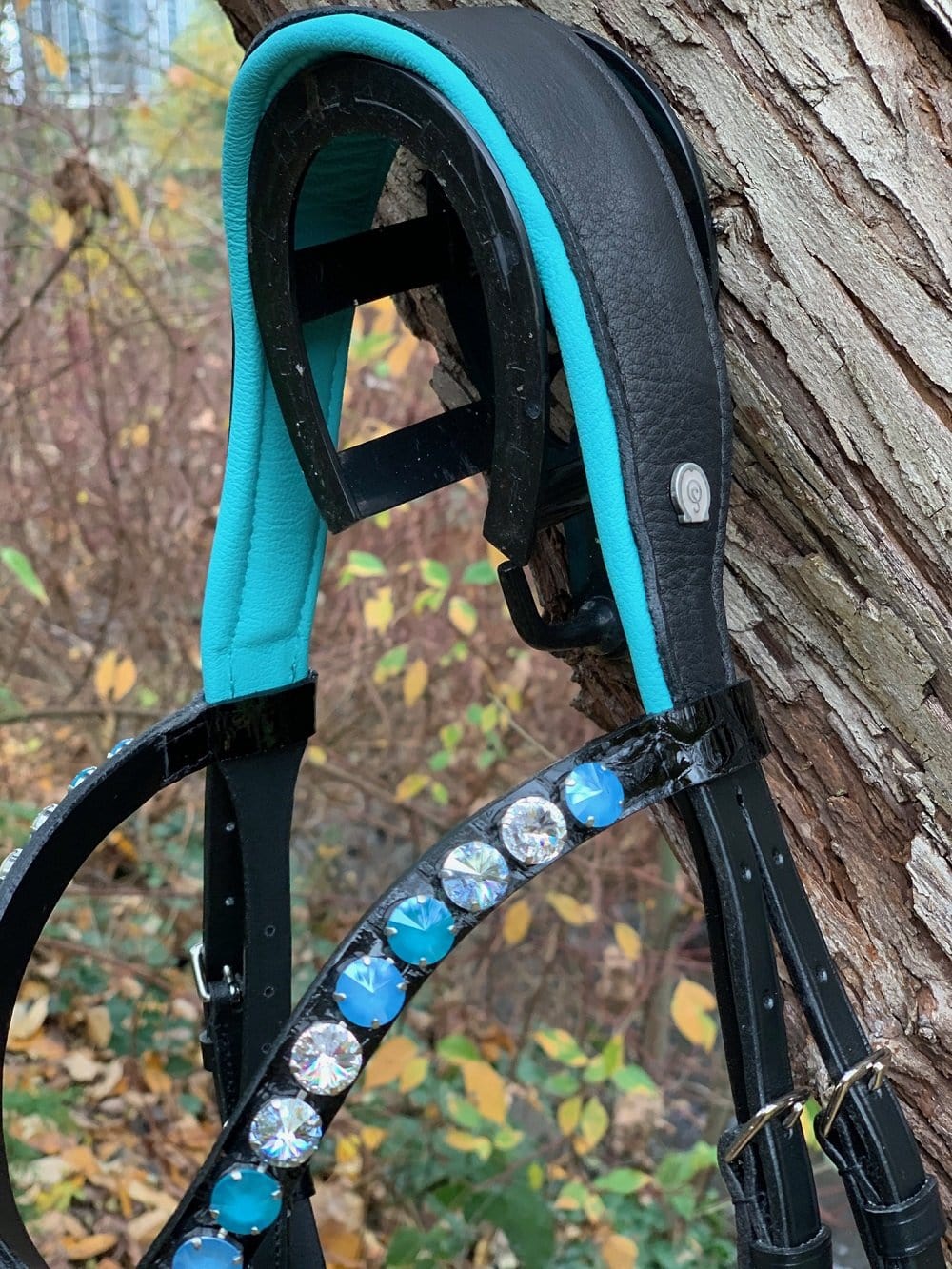 Otto Schumacher Custom Olson's Designed Tokyo Snaffle - Turquoise