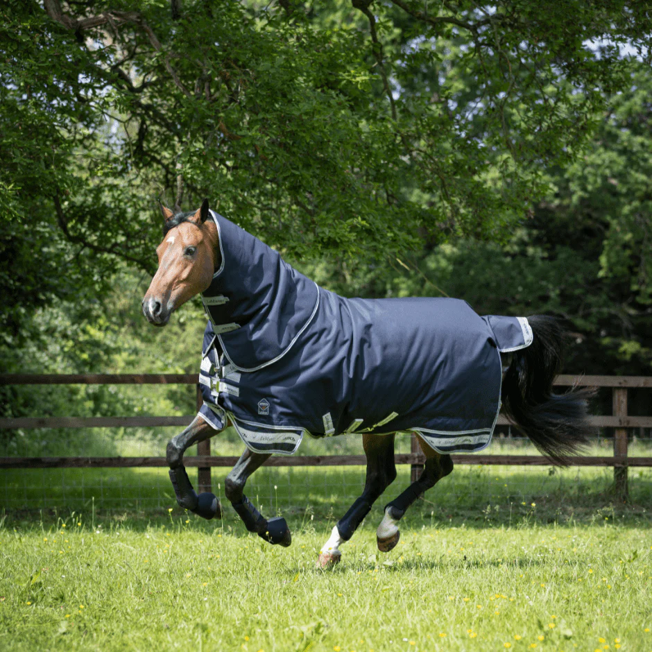 Horse Blanketing 101