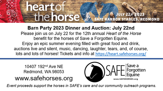 Heart of the Horse presented by Save A Forgotten Equine