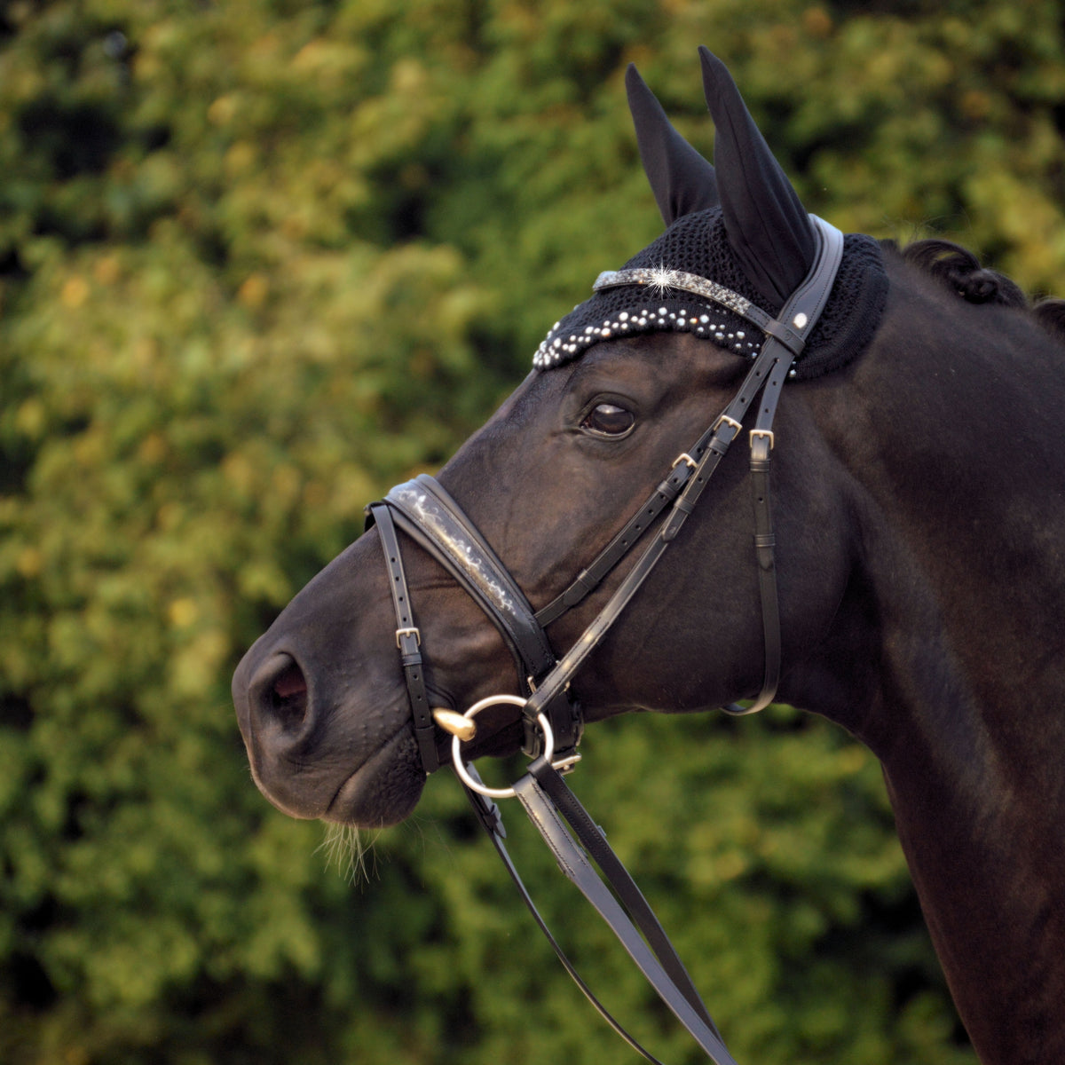 Dressage Bridles – Olson's Tack Shop