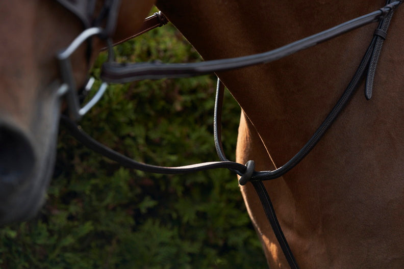 Martingale & Breastplate