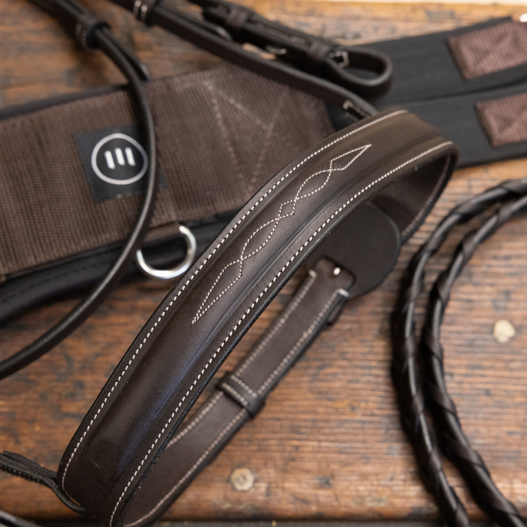 Tack – Olson's Tack Shop