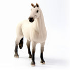 Red Dun Hannoverian Gelding 