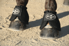 Professional's Choice Pony Bell Boots