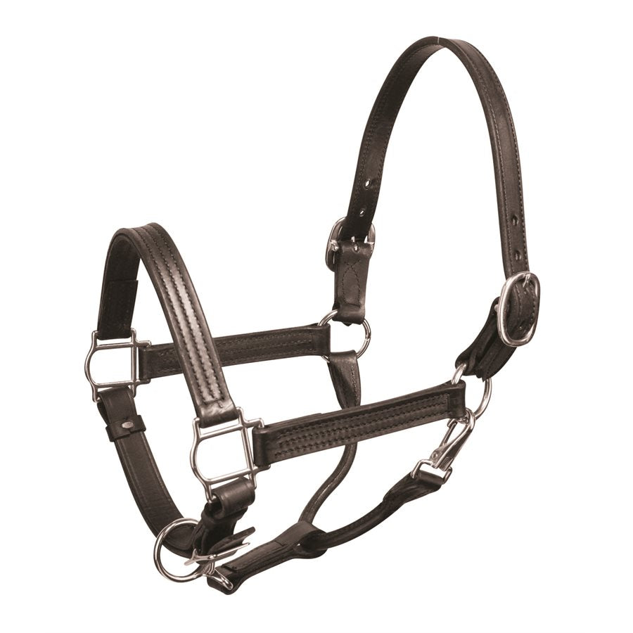 Perris Premium Leather Halter - Black & Chrome