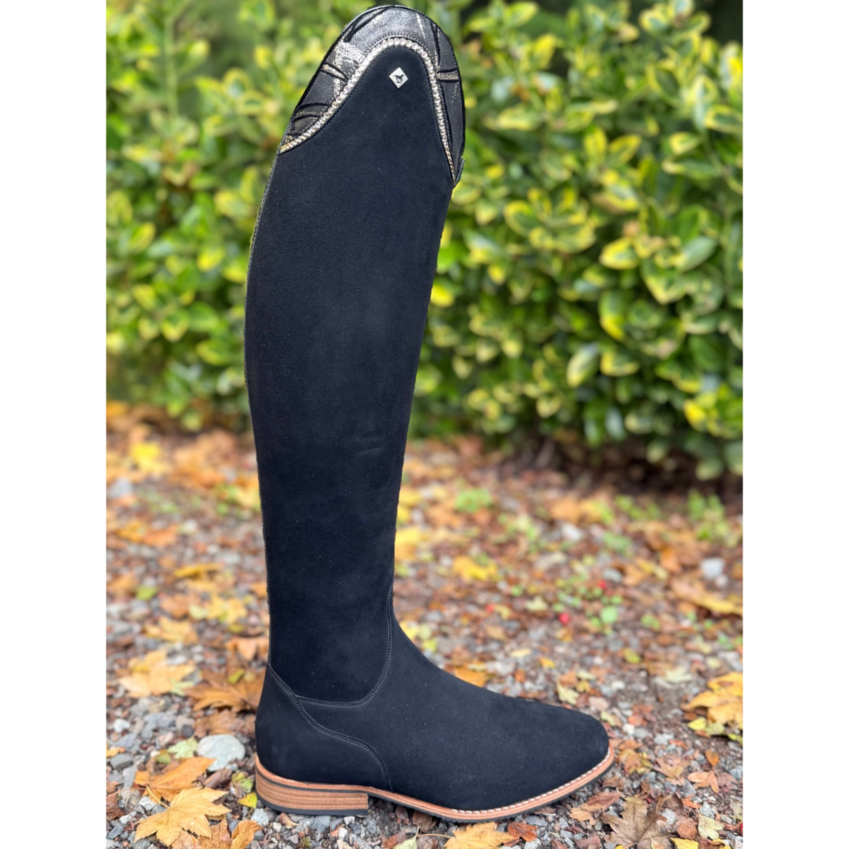 DeNiro Bellini Dressage Boot - Camoscio with Festosa Papiro Top