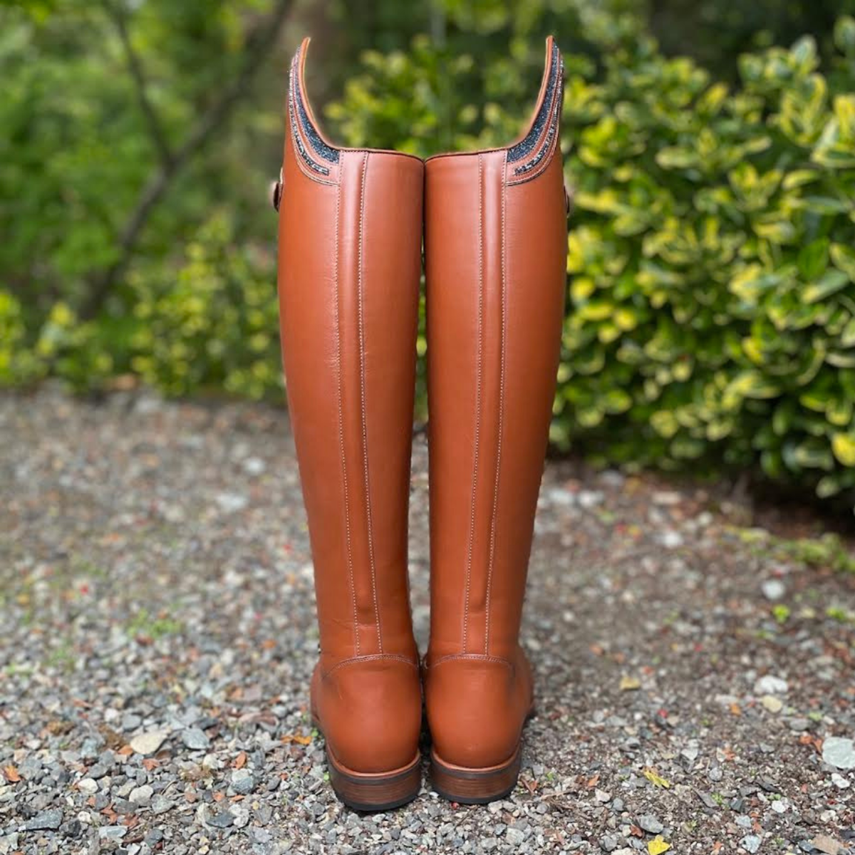 Deniro Tintoretto Dressage Boot - WRAT Brandy with GGS73 Paradise Shine Swarovski - 40 MC/XL (Back)