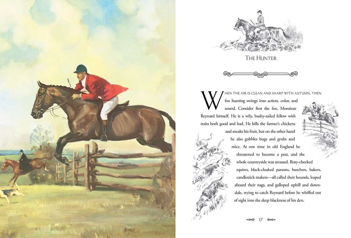 Album of Horses by Marguerite Henry