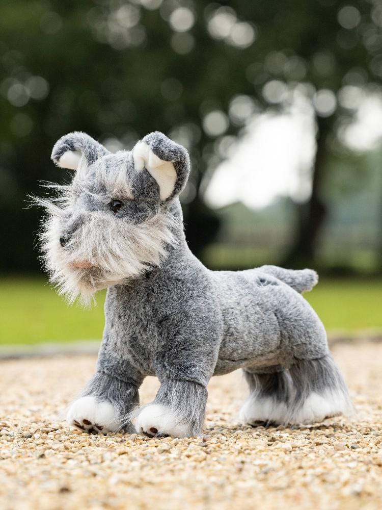 LeMieux Schnauzer Puppy - Cooper lifestyle