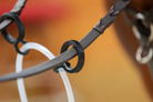 Zentora SofTTurn System Martingale by JP