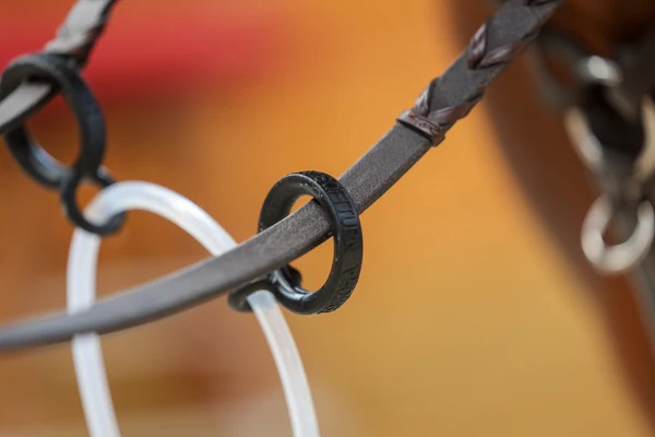 Zentora SofTTurn System Martingale by JP