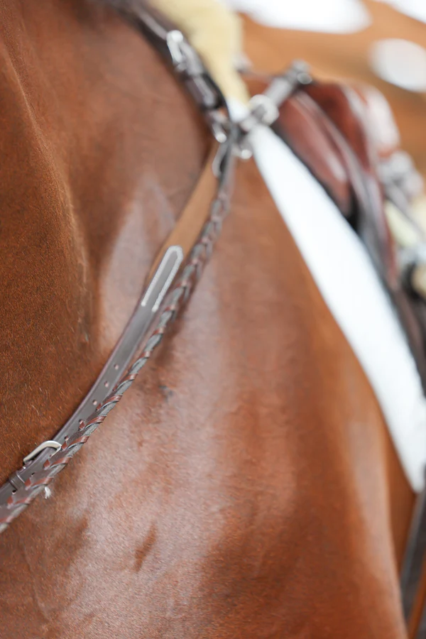 Zentora SofTTurn System Martingale by JP