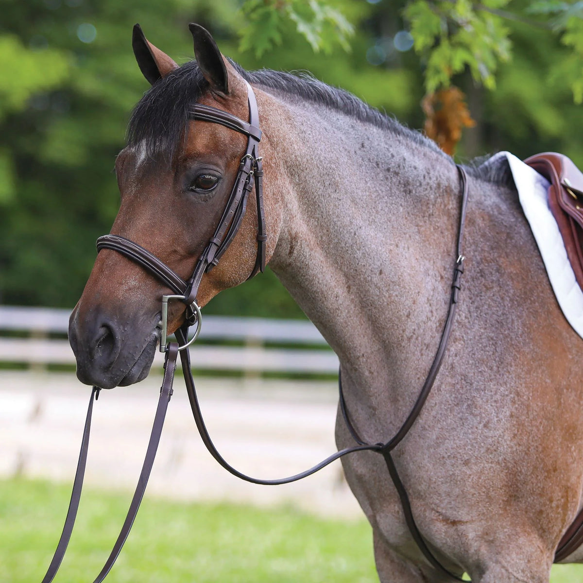 KL Select Red Barn Fancy Stitched Square Raised Standing Martingale