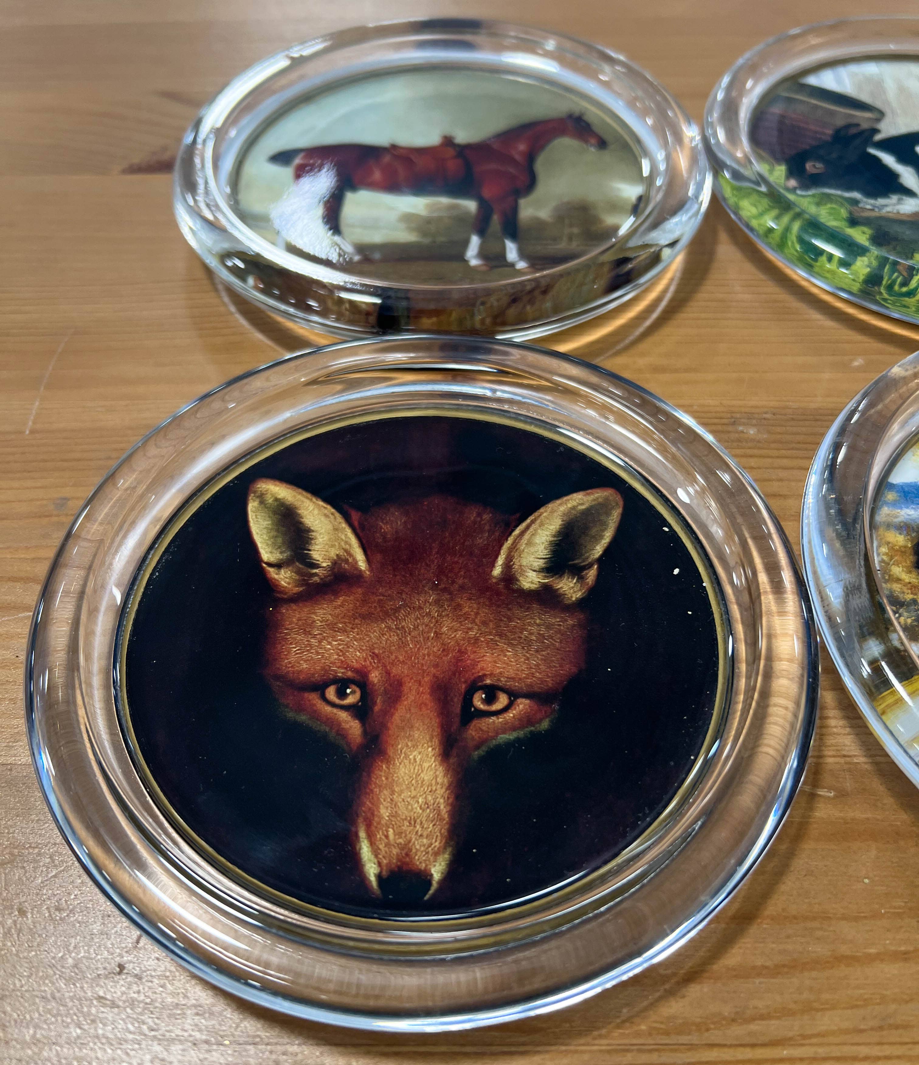 Fox Mask Coaster