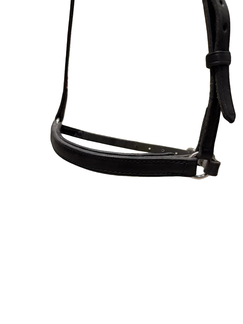 Dropped Noseband