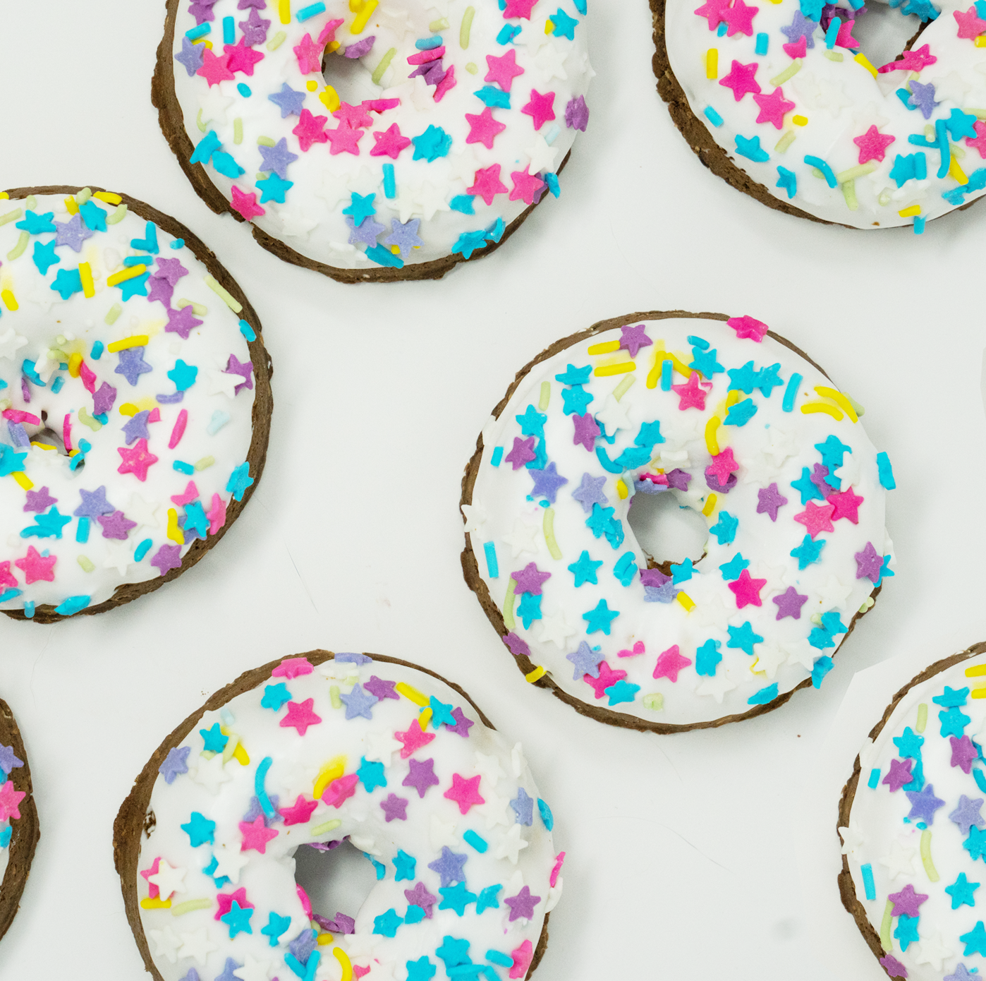 Party Donut Horse Treat