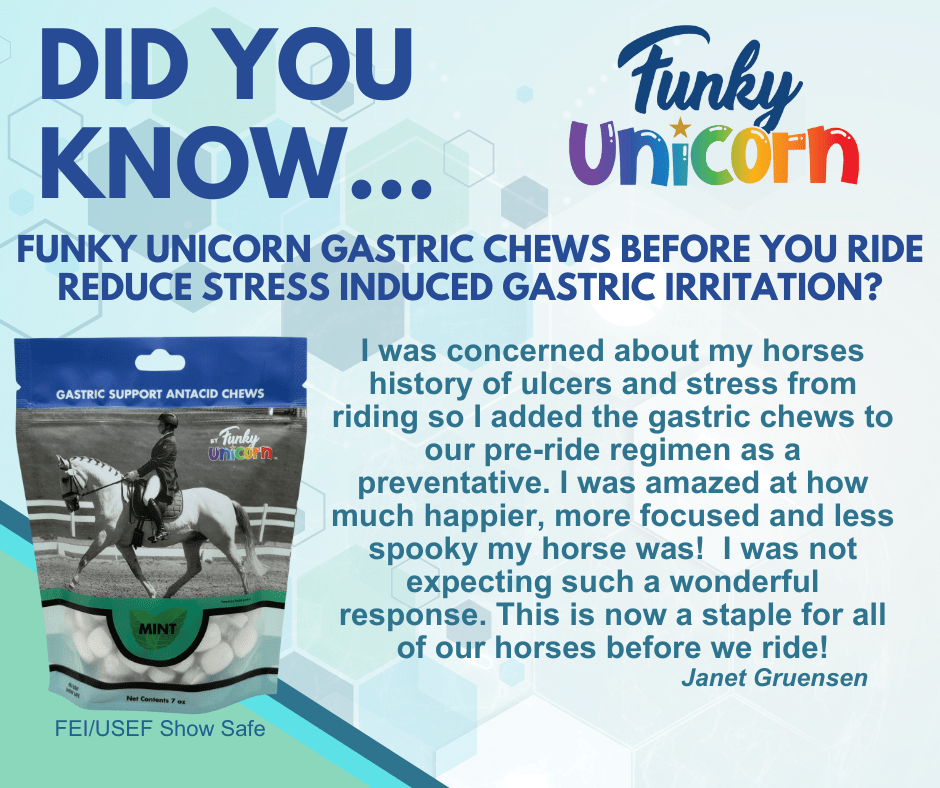 Gastric Chews by Funky Unicorn