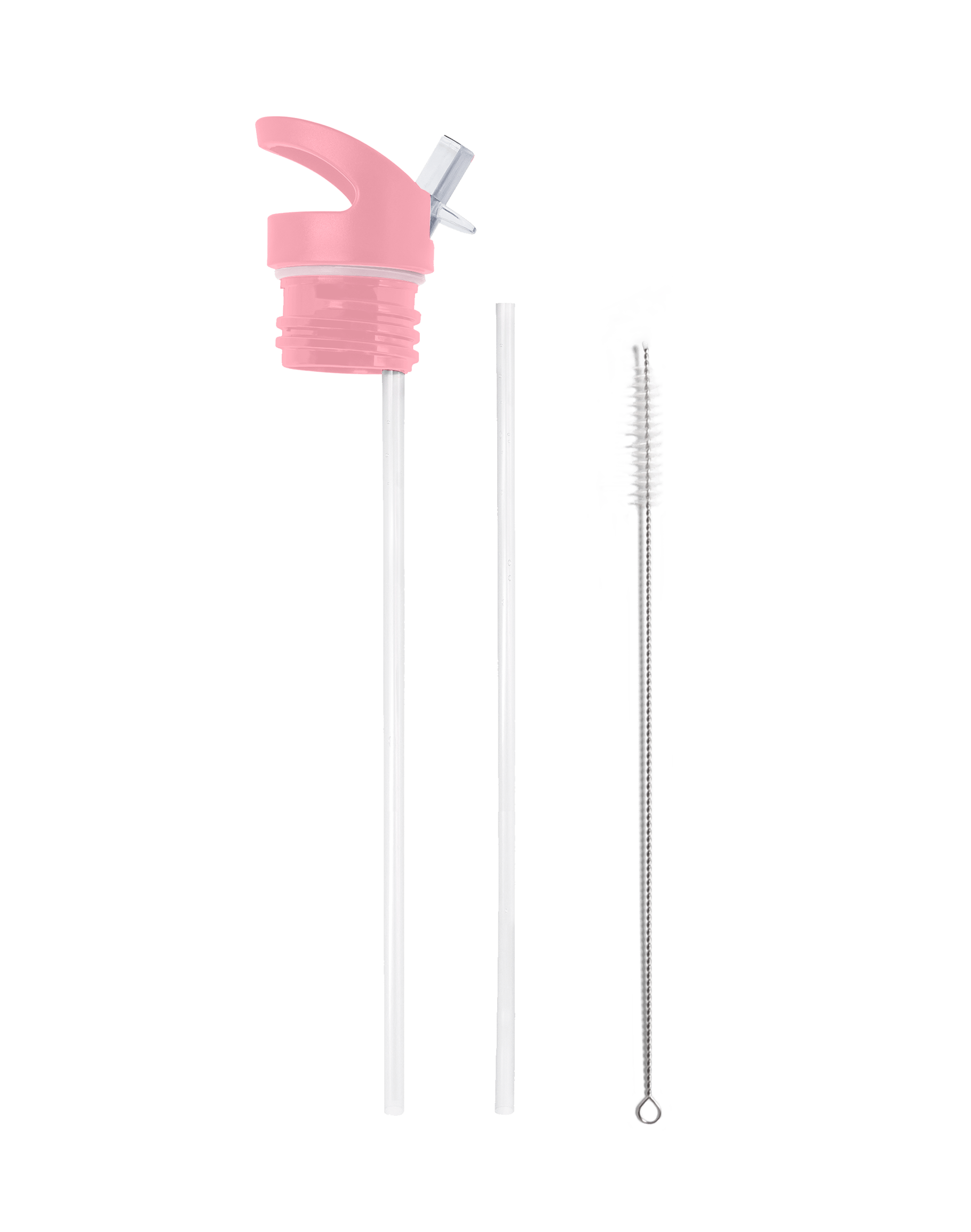 Pink Chevalier Toile 25 oz Insulated Water Bottle