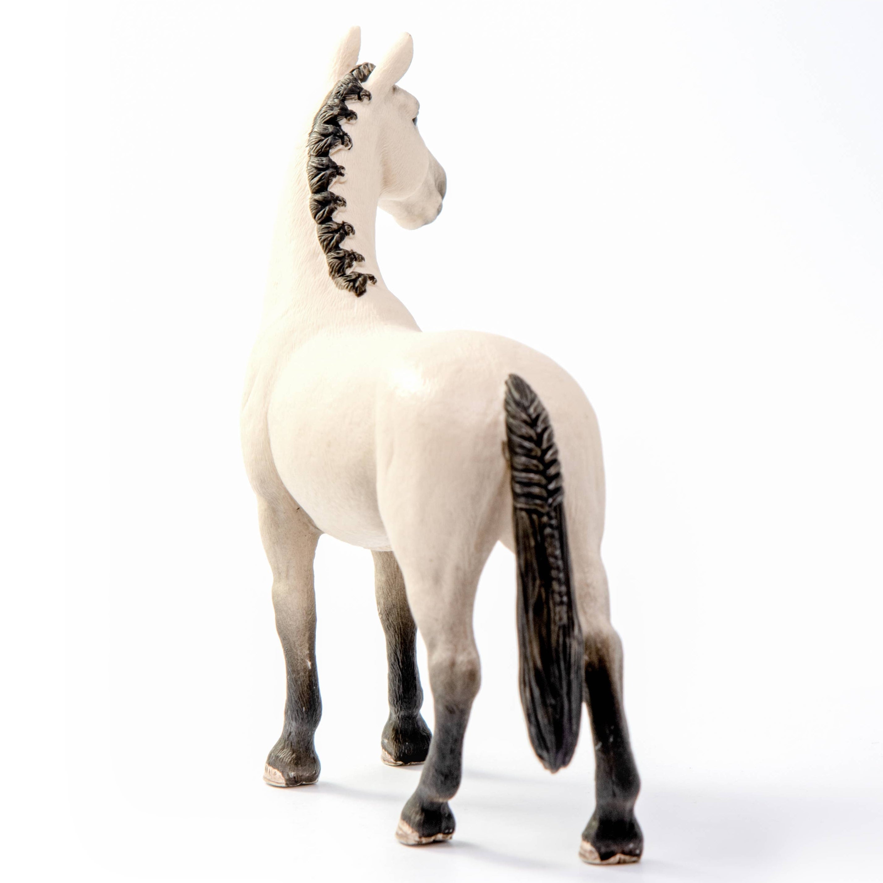 Red Dun Hannoverian Gelding 