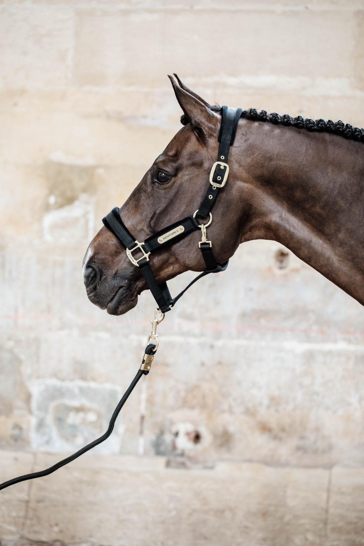 Kentucky Horsewear Velvet Halter