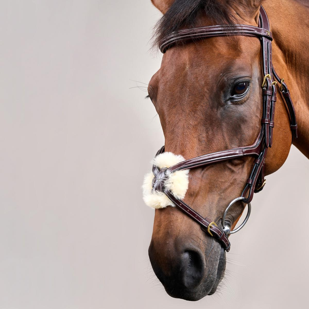 Dy'on Figure 8 Noseband Bridle DY