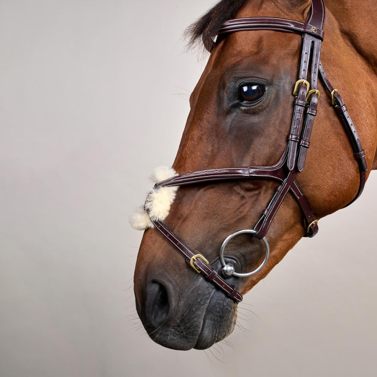 Dy'on Figure 8 Noseband Bridle DY